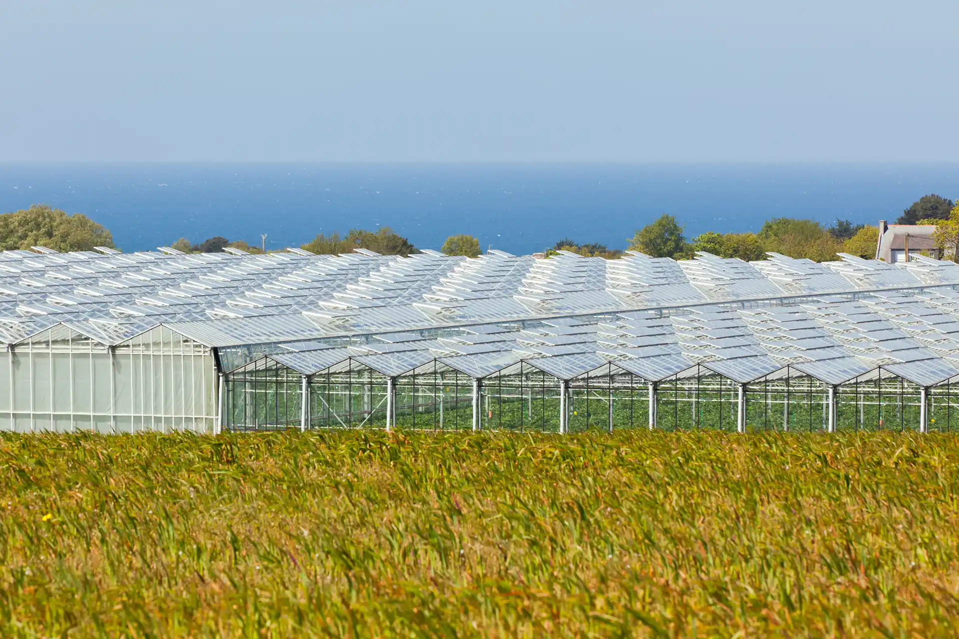 DEELL – view-of-an-agricultural-greenhouses S